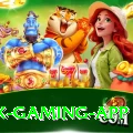 Online Betting Pakistan Max Gaming App