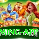 Online Betting Pakistan Max Gaming App